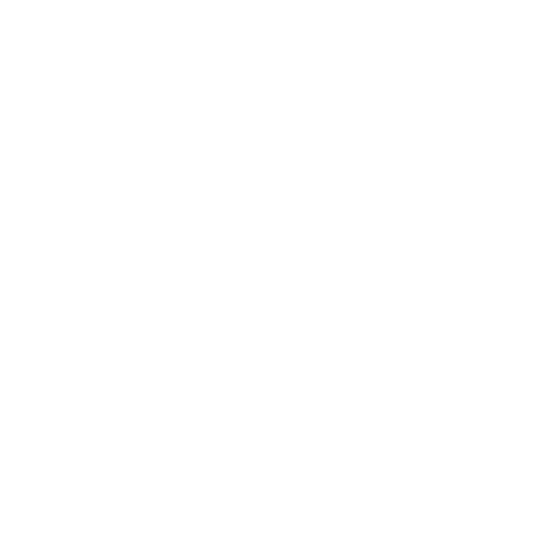 Karudi Logo